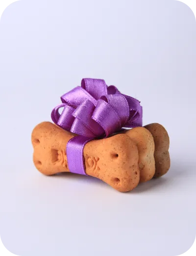 Dog treats - product example
